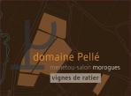 Domaine Henry Pelle - Menetou-Salon Morogues Vignes de Ratier 2022