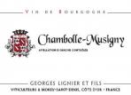 Georges Lignier et Fils - Chambolle-Musigny 2019