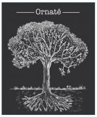 Domaine de Bellevue (Jerome Bretaudeau) - Ornate Merlot 2020