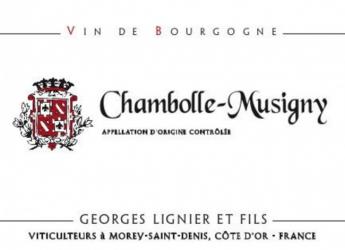 Georges Lignier et Fils - Chambolle-Musigny 2019