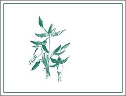 Arnot-Roberts - Chardonnay Watson Ranch 2021