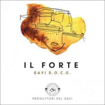 Cantina Produttori del Gavi - Gavi Il Forte 2023