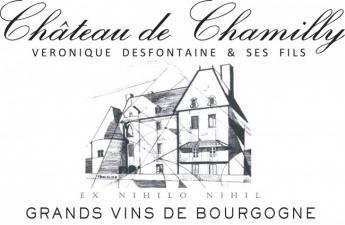 Chateau de Chamilly - Bourgogne Blanc 2023