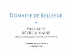 Domaine de Bellevue (Jerome Bretaudeau) - Muscadet Gabbro Clos Des Bouquinardieres 2020